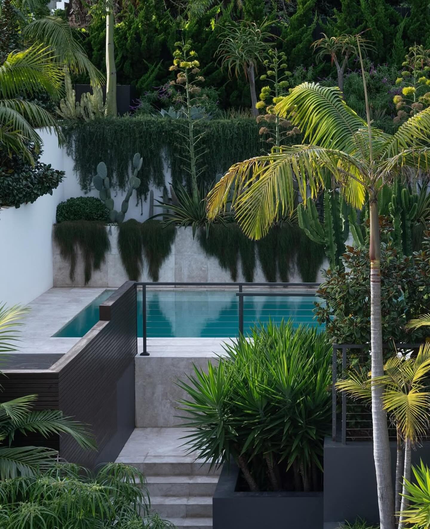 Swimming pool landscaping with tropical plants around a villa in Phuket